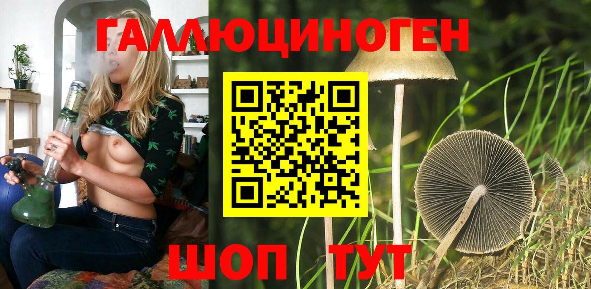 Псилоцибиновые грибы мицелий Тейково