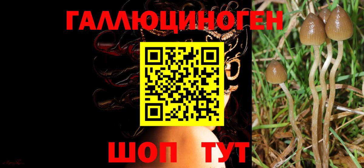Тейково  закладка  Вход с VPN  Галлюциногенные грибы мухоморы  Галлюциногенные грибы ЛСД 